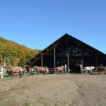  鶴居どさんこ牧場