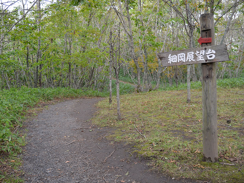 細岡展望台の遊歩道